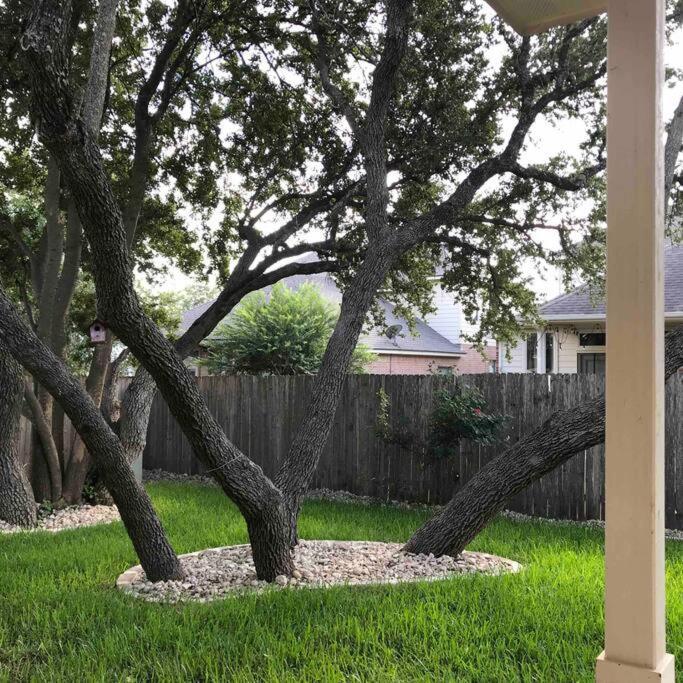 Cozy & Spacious 3 Bed Home North San Antonio - Stone Oak Area Bulverde Exterior photo